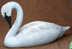http://lakesidedecoys.com/images/swansm.gif