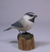 http://lakesidedecoys.com/images/mountainchickadee-thum.jpg
