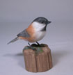 http://lakesidedecoys.com/images/chestnutchickadee-thum.jpg