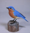 http://lakesidedecoys.com/images/easternbluebird1-thum.jpg