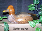 http://lakesidedecoys.com/images/ruddyduckdrakesm.gif