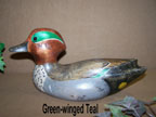 http://lakesidedecoys.com/images/greenwinged_teal_76-thum.jpg