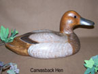 http://lakesidedecoys.com/images/Canvasback_hen98-thum.jpg