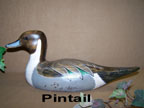 http://lakesidedecoys.com/images/pintaildrakesm.gif
