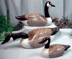 http://lakesidedecoys.com/images/canadageese2sm.gif