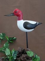 http://lakesidedecoys.com/images/tn_avocet.jpg