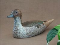 http://lakesidedecoys.com/images/tn_pintail_hen.jpg