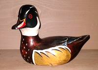 http://lakesidedecoys.com/images/wood_duck_f18.jpg