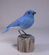 http://lakesidedecoys.com/images/mountainbluebird3-thum.jpg